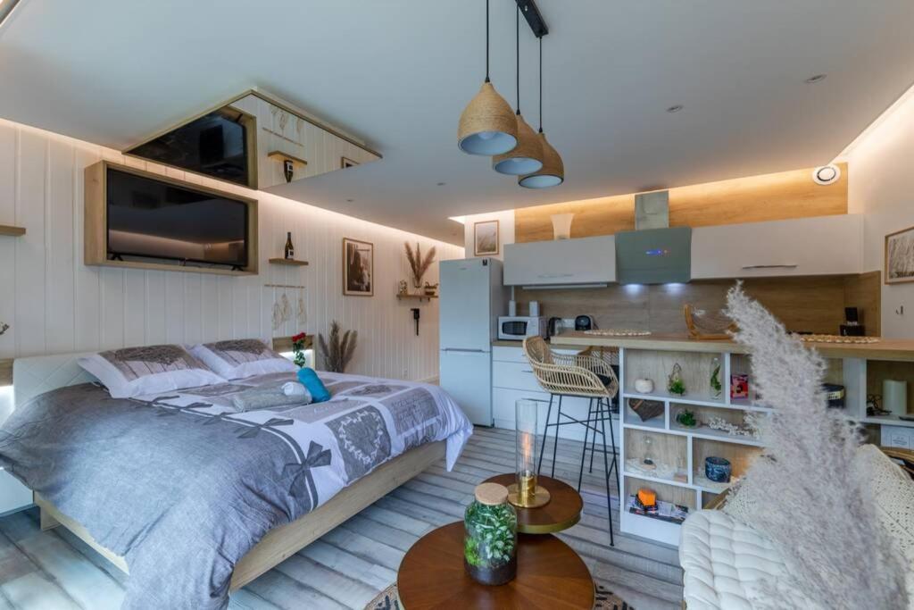 Le Quintessence: Balneo & Luminotherapie + Parking Apartment Voiron