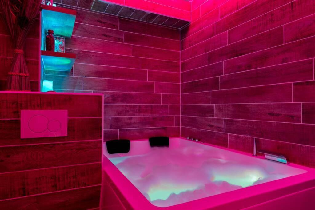 Le Quintessence: Balneo & Luminotherapie + Parking Apartment Voiron